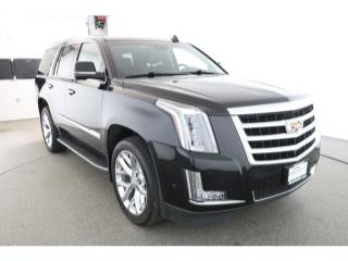 2019 Cadillac Escalade