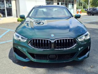 2022 BMW 8 Series