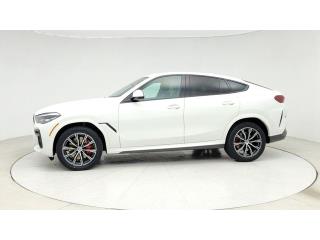 2023 BMW X6