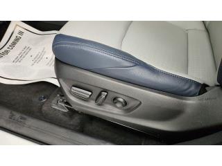 2023 Subaru Solterra